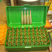 300WSM - Hornady GMX 165gr