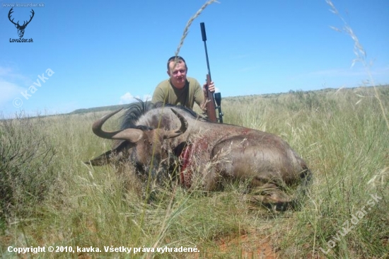 afrika 2010- Wildebeest Blue