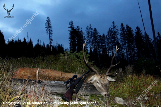 NP Šumava a můj jelen z letošní říje