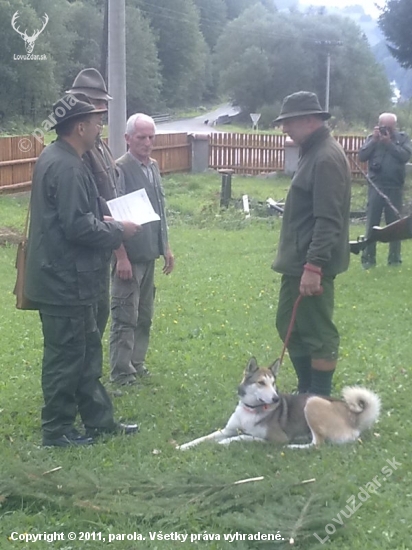 Farbiarske skúšky malých plemien