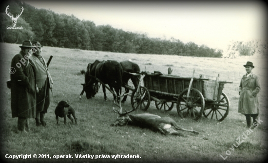 Poľovnícka nálada...