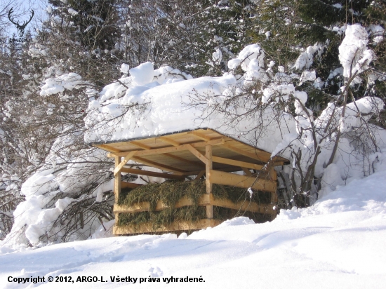 meteorologovia predpovedali občasné sneženie