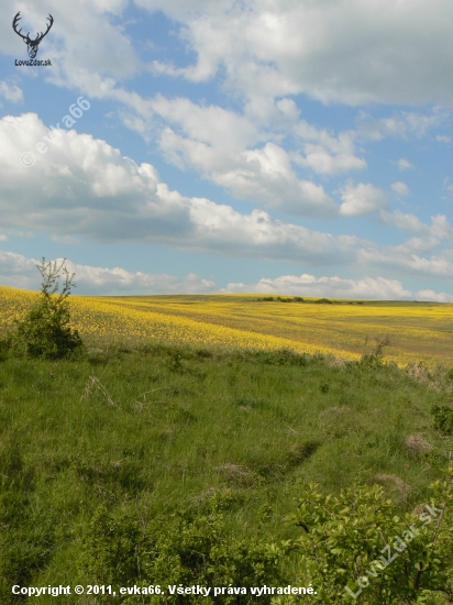 krajina ožíva naplno