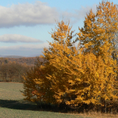 dokonalé vyfarbenie