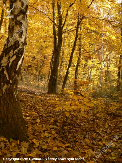 tohtoročná vydarená jeseň