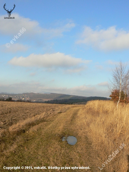 návraty