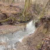 pozdlž toku Trstianky-január 2014