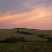 príroda v podvečer