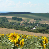 spomienka na leto