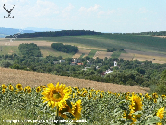 spomienka na leto