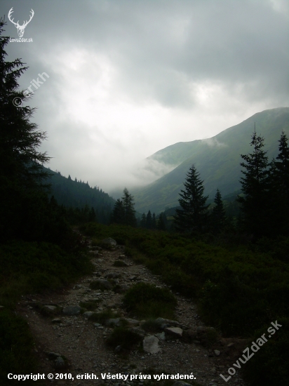 západné tatry