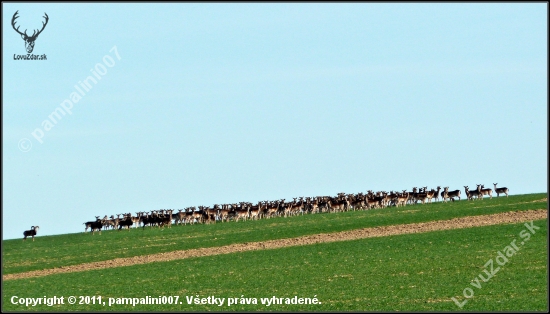 kto naráta viac ? :-)