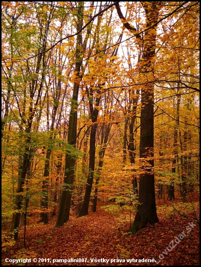 príprava na jeseň ... :-)