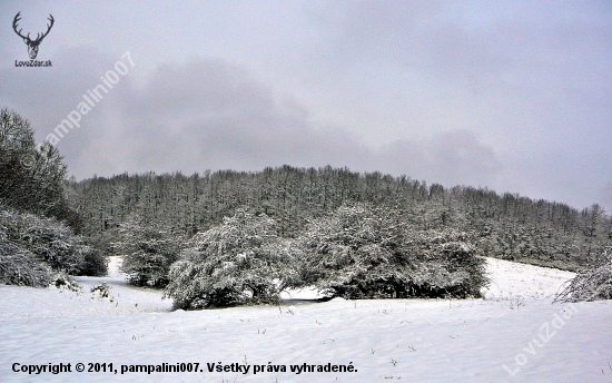 už iba líška chýba ...