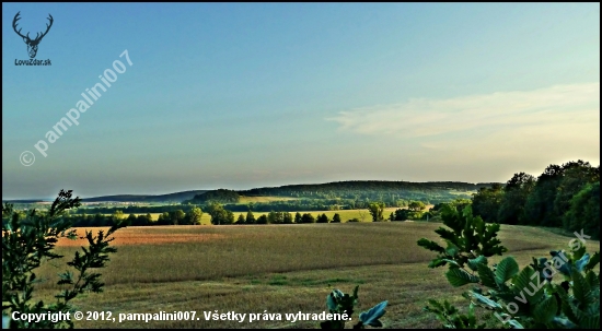 pohľad z posedu ...