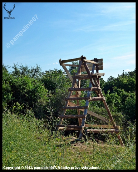 účelová rýchlovka ...