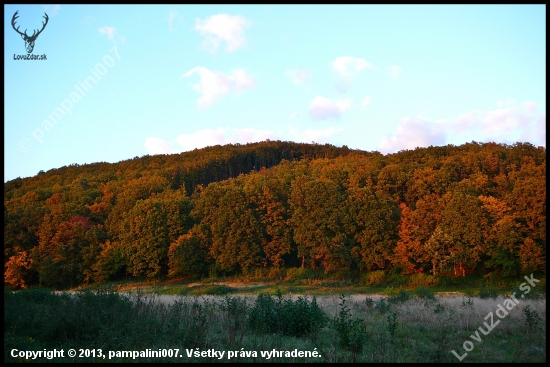 jesennými farbičkami ...