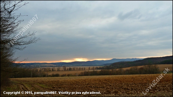 jarný podvečer ...