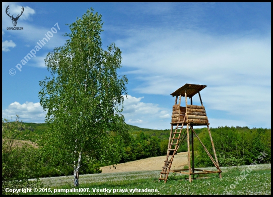 nový posed ...