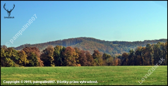 Veľké pole ...