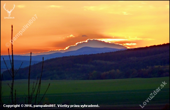 podvečerná ...