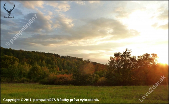 podvečer na  pastve ...