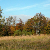 zátišie s posedom