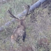 2tyždne kto skoho a predsa vysiel