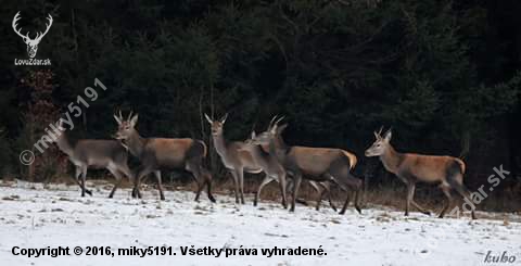 Na prechádzke