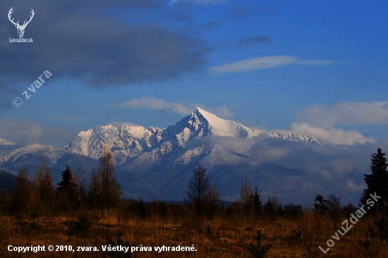 Kriváň