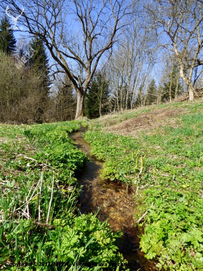 pri potôčiku...