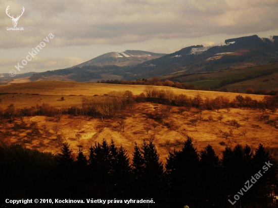 Pohled na uhličky