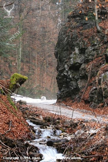 Horská bystrina