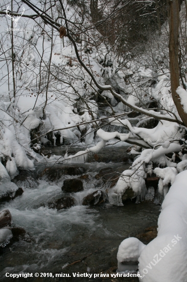 Horský potok Bystrica