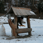 Vyčistiť a doplniť