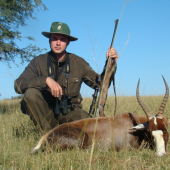 Blesbok