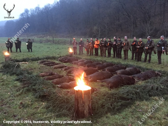 Spoločná poľovačka na diviaky - Topoľčianky