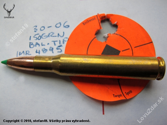 Nosler Balistik Tip 150g .30-06