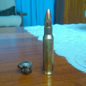 .308 geco plus vs diviak