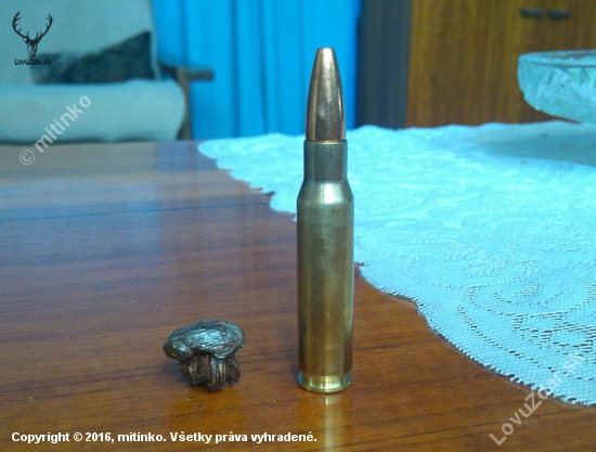 .308 geco plus vs diviak