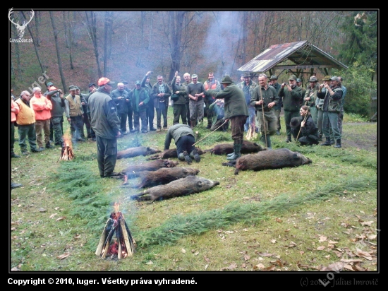 pasovanie za lovca diviakov