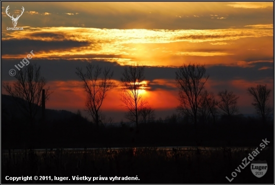 podvečer na rybníku