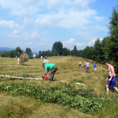 Brigada na pripravu sena   pre zver 2.