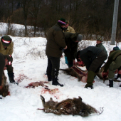 Škola mladych pod dohľadom veducého pľovačky.