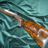 Sauer202