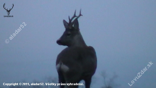 Starý známi