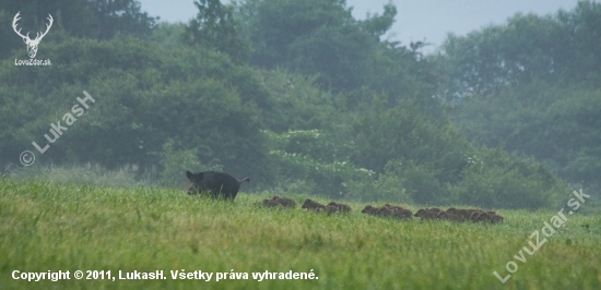 pižamka v hmle