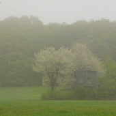 Vedľa seba