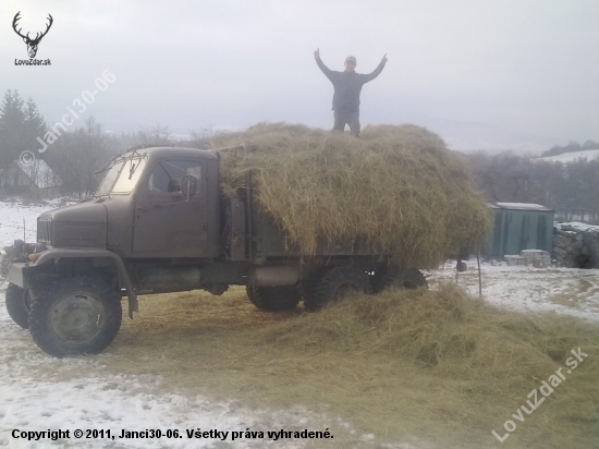 Prikrmuje sa naďalej