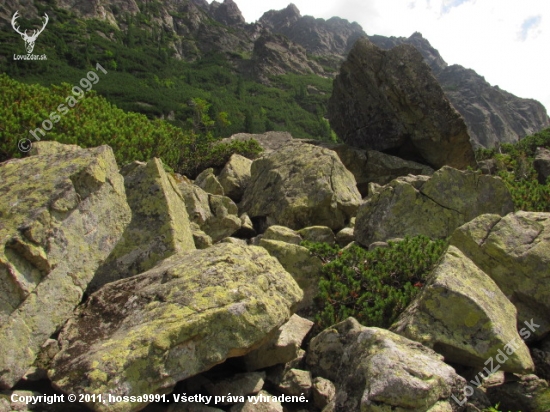 Tatry